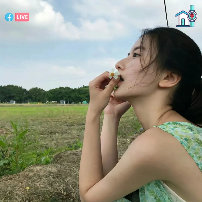 宋佳女士